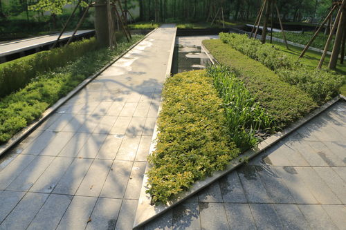 园林景观设计中草坪的作用